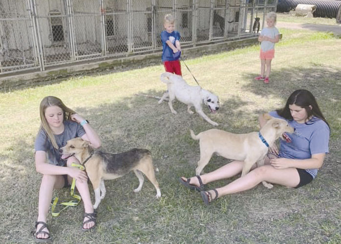 Hamburg youth volunteer at Crossett pound